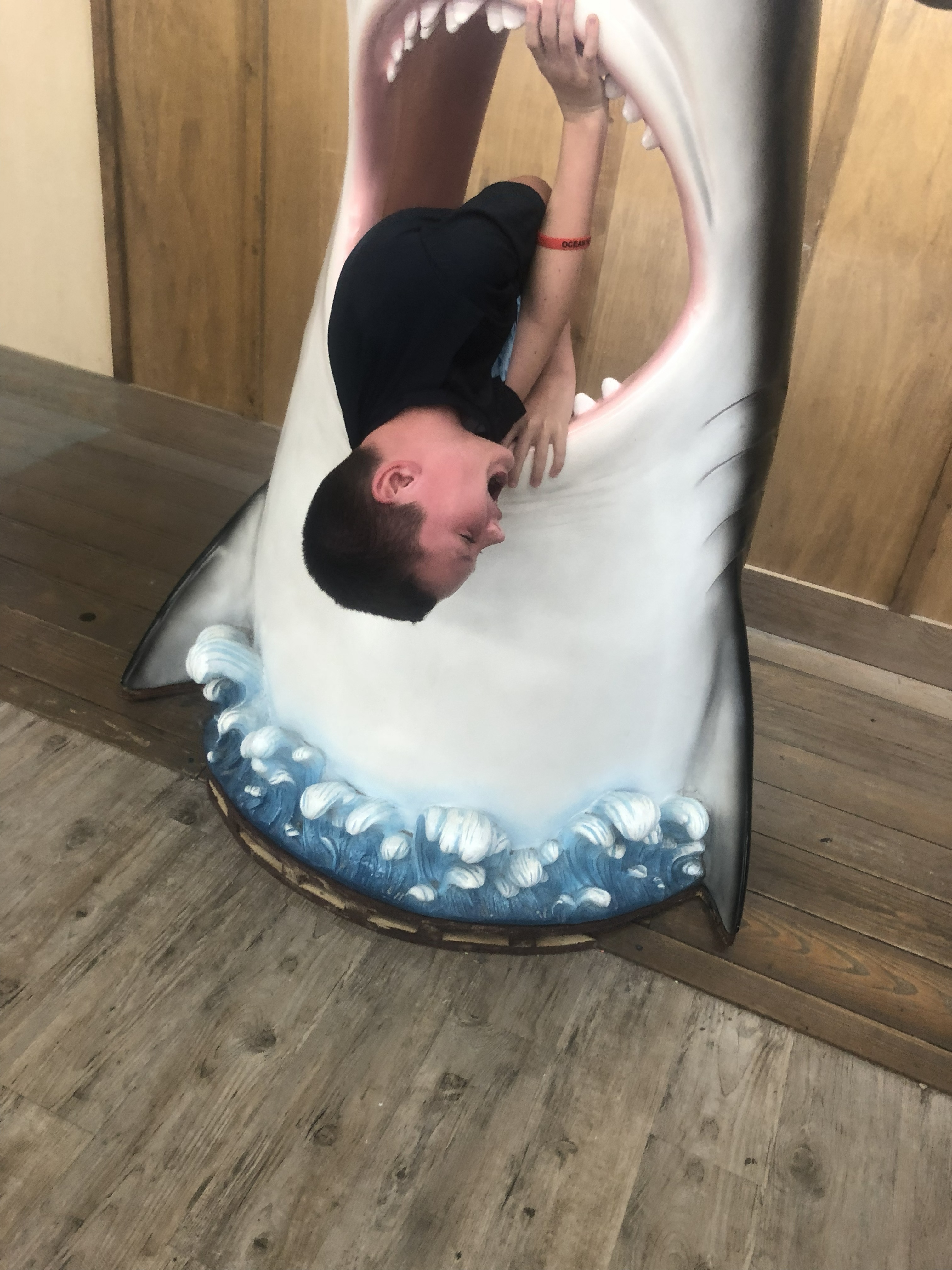 Vacation Photo 6